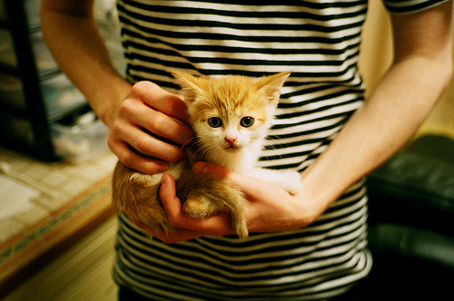 从战术复刻到巨星接管，几内亚式压迫如何预言马丁内利的欧冠封神之夜