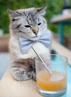 IM体育官方网站-哈登在焦点战证明自己，活塞鏖战上海队，跨越东西的篮球对话