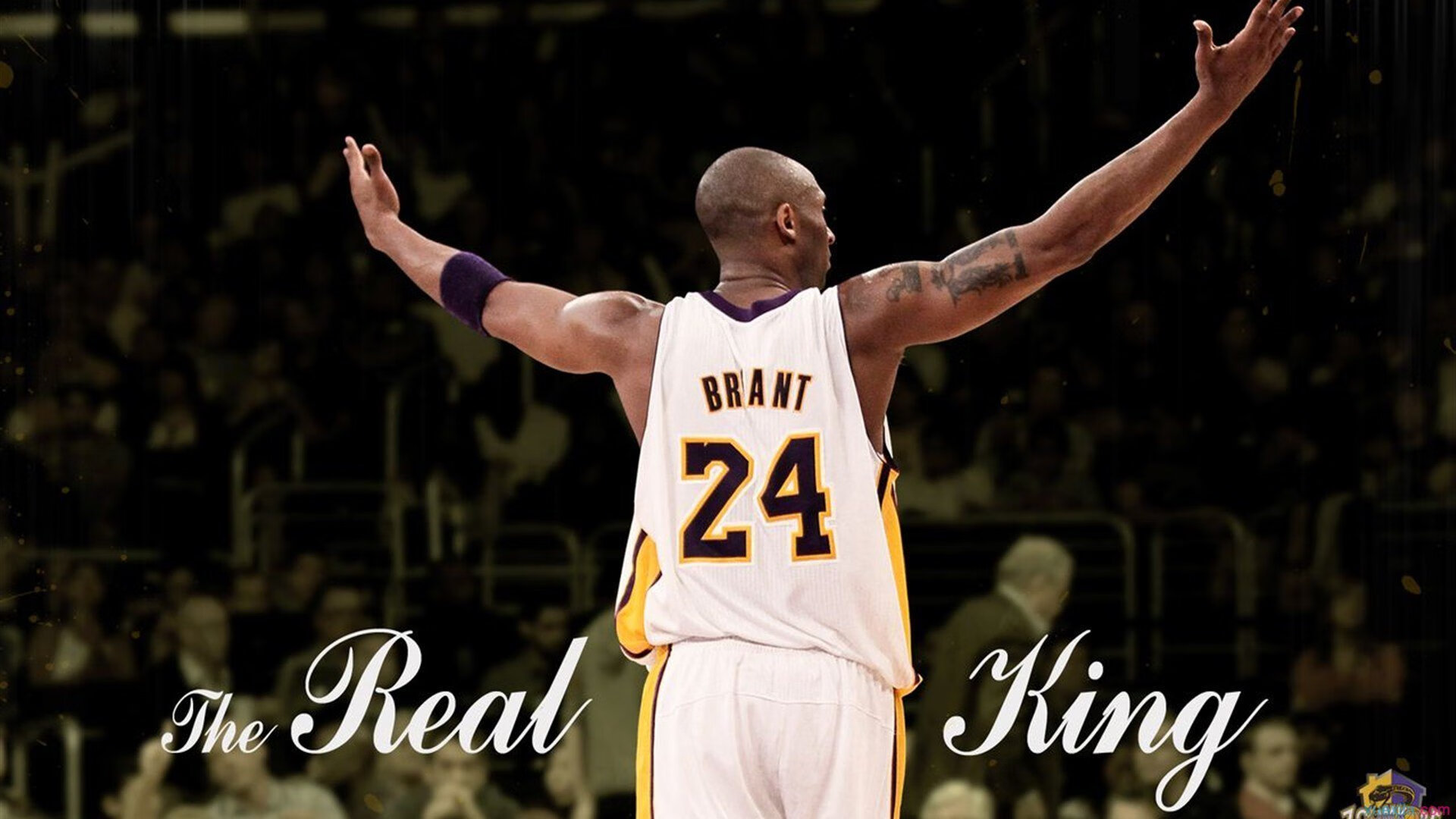 IM体育赛事直播入口-赛道与街灯之间，霍勒迪的末节封神之夜